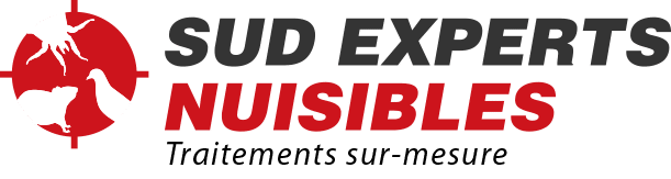Sud Experts Nuisibles - Site de dératisation et désinsectisation avec présentation des services et devis en ligne
