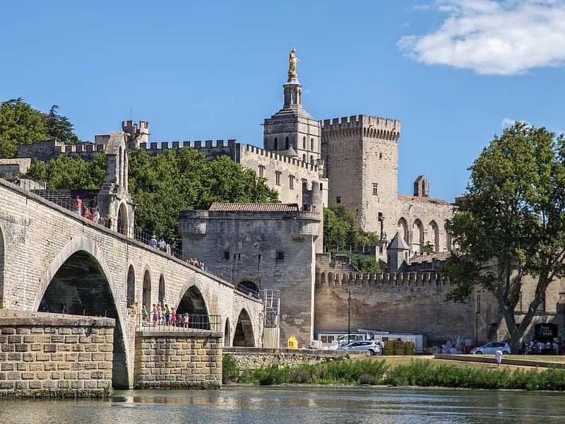 pont d'Avignon Vaucluse Dératisation